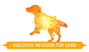 Infusion Dogs