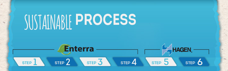 Sustainable Process - 6 steps