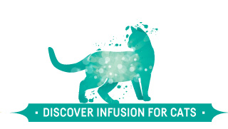Infusion Cats