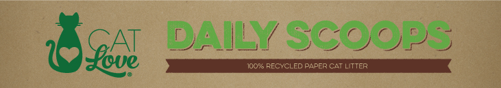 Cat Love Daily Scoops 100% Recycled Paper Cat Litter