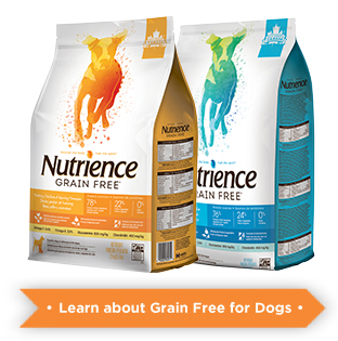 Learn more about Nutrience Grain free for dogs