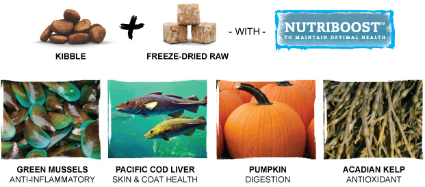 Kibble + Freeze-Dried raw with Nutriboost