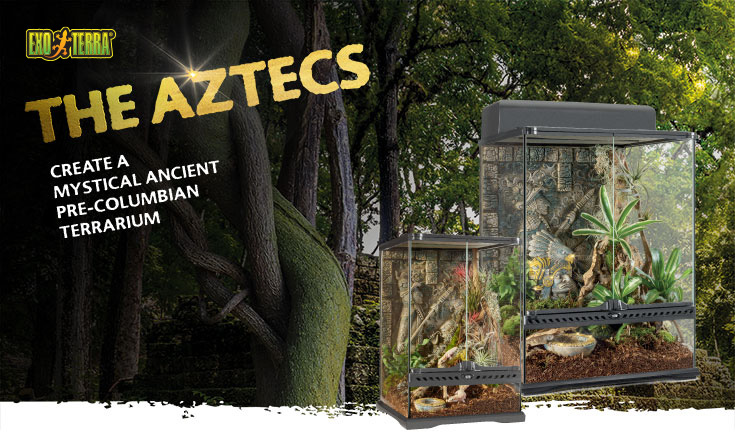 The Aztecs - Create a mystical ancient pre-columbian terrarium.