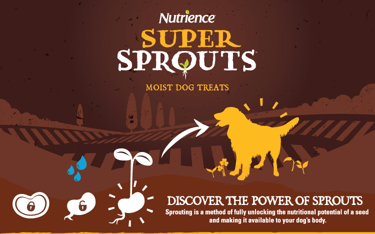 Nutrience Super Sprouts: Moist dog treats. Discover the power of Sprouts. Sprouting is a method of fully unlocking the nutritional potential of a seed and making it available to your dog's body