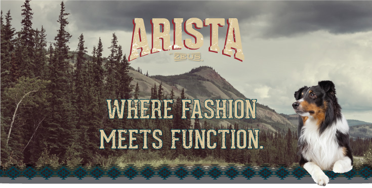 Arista by Zeus - Where fashion meets functions.