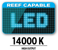 Reef Capable LED 14000K