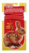 Living World Adjustable Harness and Lead Set for Rabbits - Red - 1.2 m (4 ft)