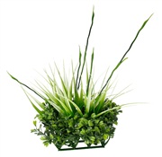 Fluval Chi Boxwood & Tall Grass Ornament
