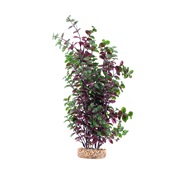 Fluval Aqualife Plant Scapes Red Bacopa - 35.5 cm (14 in)