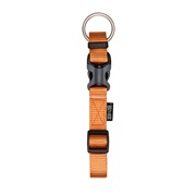 Zeus Adjustable Nylon Dog Collar - Tangerine - Small - 1 cm x 22 cm-30 cm (3/8" x 9"-12")