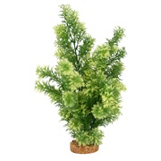 Fluval Aqualife Plant Scapes White-Tipped Hottonia - 35.5 cm (14 in)