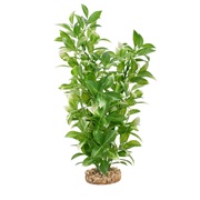 Fluval Aqualife Plant Scapes White-Tipped Ludwigia - 35.5 cm (14 in)