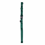 Zeus Nylon Leash - Forest Green - Small - 1.2 m (4 ft)