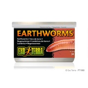 Exo Terra Canned Earthworms - 34 g (1.2 oz)