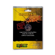 Exo Terra Vacuum Packed Specialty Reptile Foods - Crickets XL - 15 g (0.53 oz)