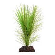 Fluval Aqualife Plant Scapes Green Parrot's Feather/ Vallisneria Plant Mix - 12.5 cm (5 in)