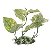 Fluval Decorative Plant - Lizard's Tail - Medium - 17 cm (6.75") with base