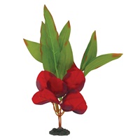 Marina Naturals Red & Green Sword Leaf Silk Plant - Medium - 23 - 25.5 cm (9-10") 