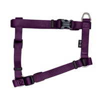 Zeus Nylon Dog Harness - Royal Purple - Large - 2 cm x 45-70 cm (3/4” x 18”-27”)