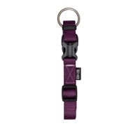 Zeus Adjustable Nylon Dog Collar - Royal Purple - Small - 1 cm x 22 cm-30 cm (3/8" x 9"-12")