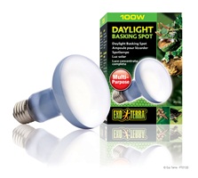 Exo Terra Daylight Basking Spot Lamp - R25 / 100 W