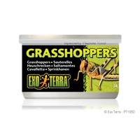 Exo Terra Canned Grasshoppers - 34 g (1.2 oz)