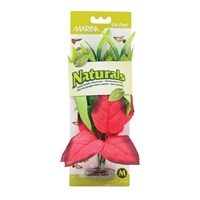Marina Naturals Red & Green Pickerel Silk Plant - Medium - 9 - 10" (23 - 25.5 cm)