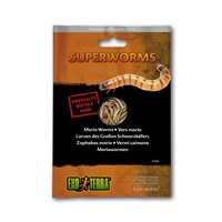 Exo Terra Vacuum Packed Specialty Reptile Foods - Superworms - 15 g (0.53 oz)