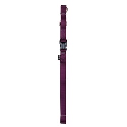 Zeus Nylon Leash - Royal Purple - Medium - 1.8 m (6 ft)