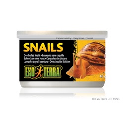 Exo Terra Snails (House free) - 48 g (1.7 oz) 