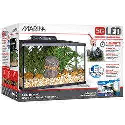 Marina 5G LED Glass Aquarium Kit - 19 L (5 US gal)