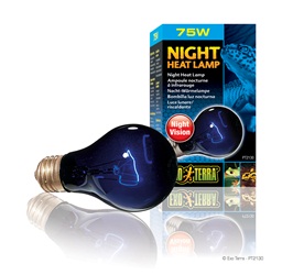 Exo Terra Night Heat Lamp - A19 / 75 W