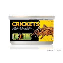 Exo Terra Crickets - 34 g (1.2 oz)