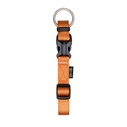 Zeus Adjustable Nylon Dog Collar - Tangerine - Large - 2 cm x 36 cm-55 cm (3/4" x 14"-22")