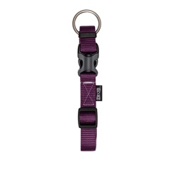 Zeus Adjustable Nylon Dog Collar - Royal Purple - Medium - 1.5 cm x 28 cm-40 cm (1/2" x 11"-16")