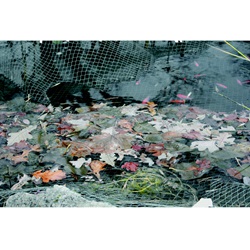 Laguna Protective Pond Netting - 4.5 x 6 m (15 x 20 ft) - Black