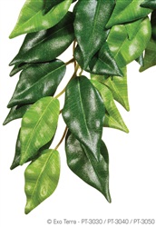 Exo Terra Silk Plant - Ficus - Medium