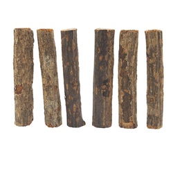 Living World Nibblers Wood Chews - Kiwi Sticks