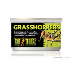 Exo Terra Canned Grasshoppers - 34 g (1.2 oz)
