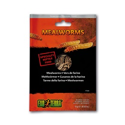 Exo Terra Vacuum Packed Specialty Reptile Foods - Mealworms - 15 g (0.53 oz)