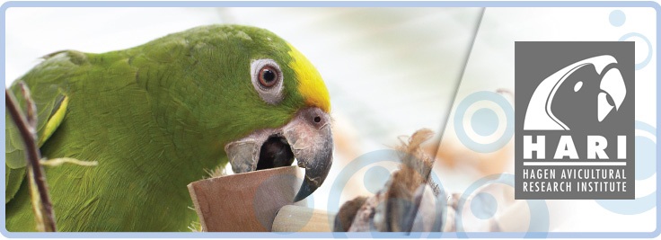 HARI Early Parrot Education