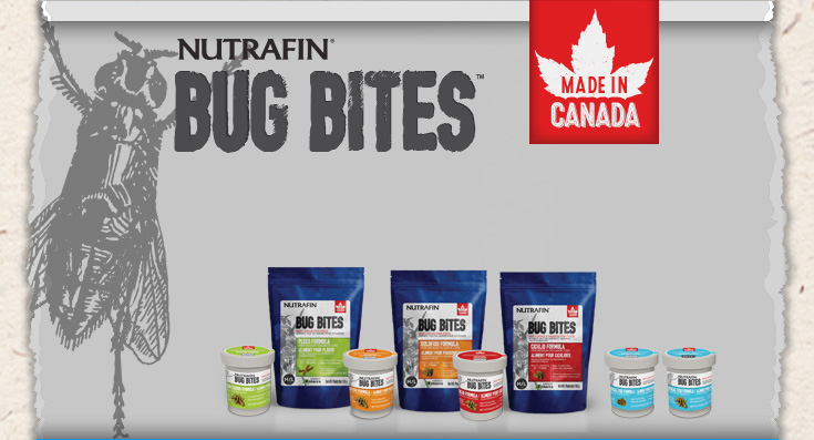 Nutrafin Bug Bites: Made in Canada