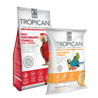 Tropican bird food