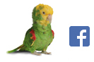 Join our Hagen Bird Care community